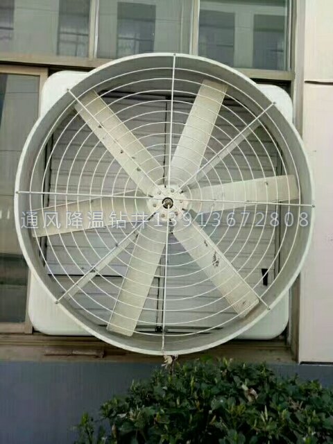 ؓLC
